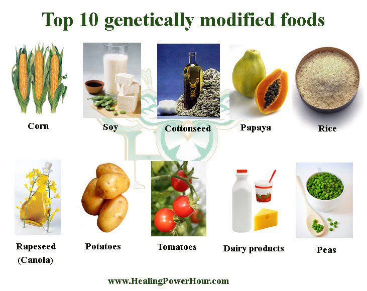 Top 10 GMO foods