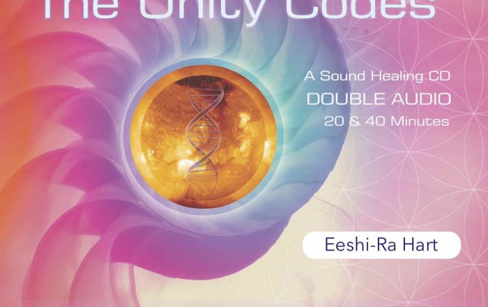 The Unity Codes 20-40 minutes