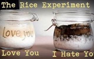 I Love You Rice Experiment