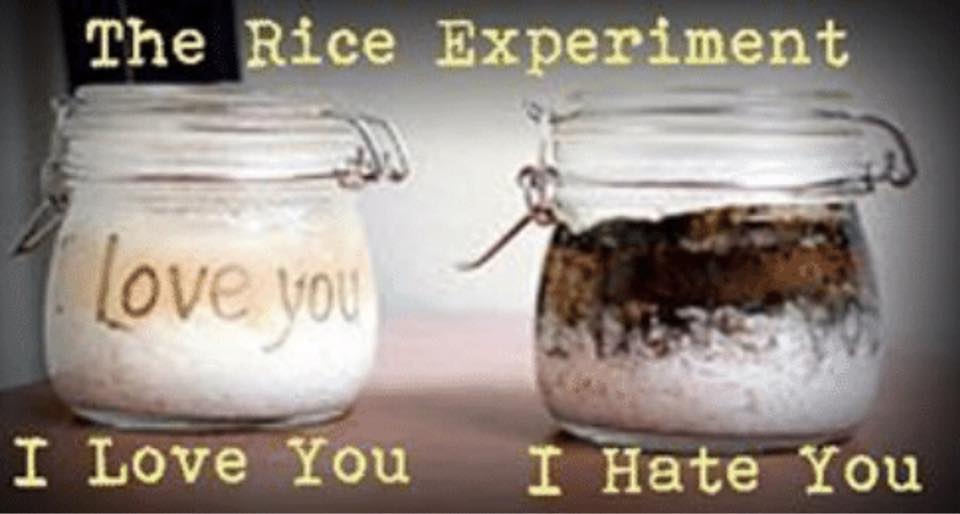 I Love You Rice Experiment