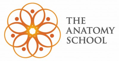 The Anatomy School Logo