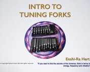 Intro To Tuning Forks
