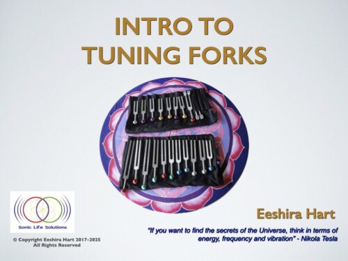 Intro to Tuning Forks