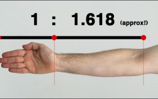 Phi ratio arm