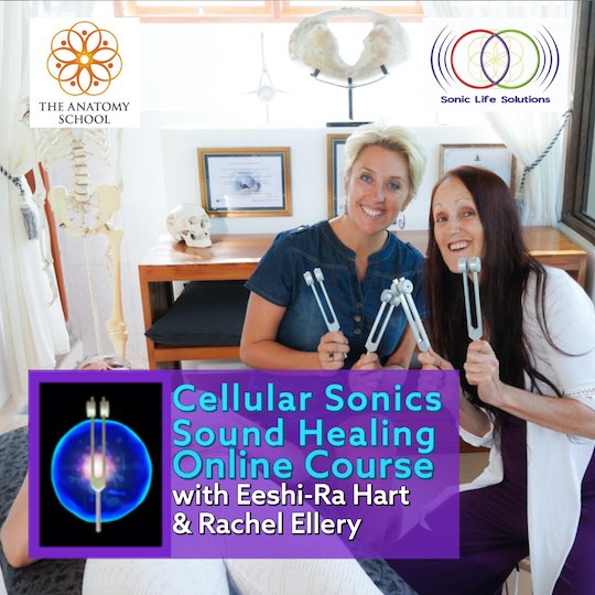 Cellular Sonics Sound Healing Online Course